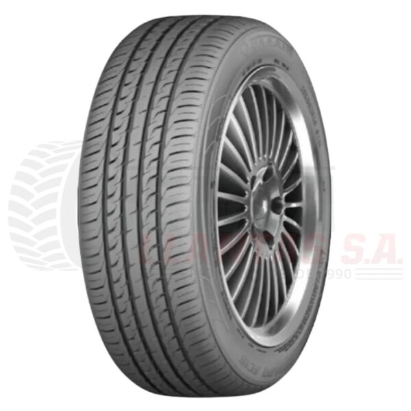 205/60R16 NAAATS FC16